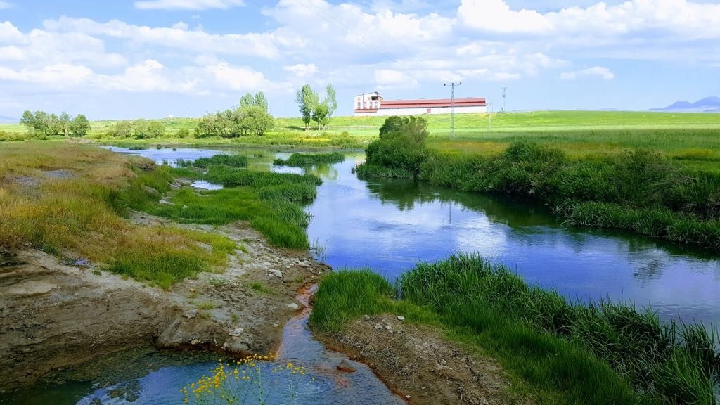 Çiftlik Gölet